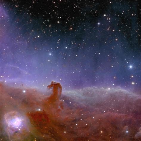 Esa Euclids View Of The Horsehead Nebula