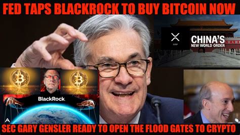 Omg Fed Taps Blackrock To Buy Bitcoin Now Sec Gary Gensler Ready To