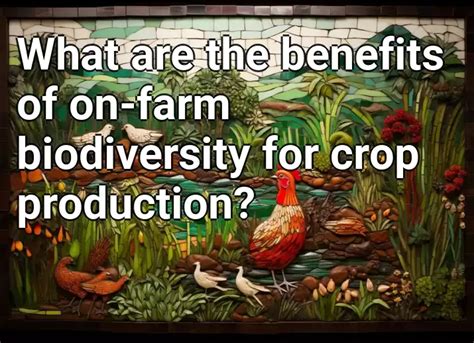 What Are The Benefits Of On Farm Biodiversity For Crop Production Agriculture Gov Capital