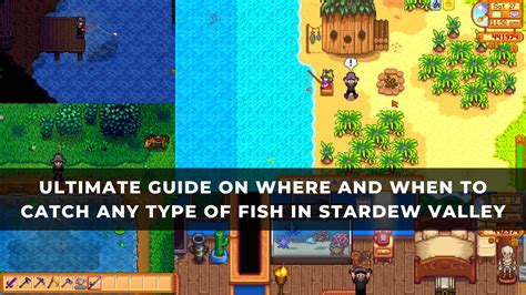 Ultimate Guide On Where And When To Catch Any Type Of Fish In Stardew