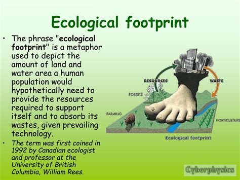 Ppt Carbon Footprints And Ecological Footprints Powerpoint Presentation Id 4894467