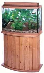 Amazon All Glass Aquarium Co 36 Gallon Pine Bow Front Fish Tank