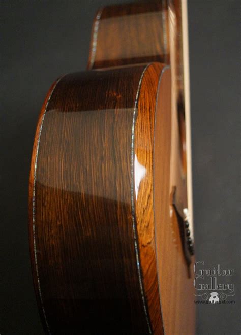 Osthoff Osthoff Brazilian Rosewood FS 12 Guitar Audio And Guitar