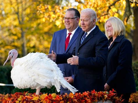 WATCH: Biden pardons his first Thanksgiving turkeys, Peanut Butter and ...