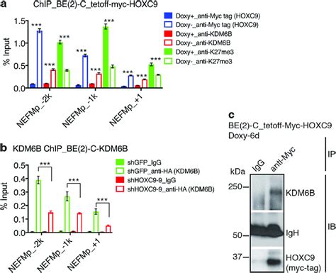 Kdm6b Interacts With Hoxc9 For Targeting Neuronal Genes For Epigenetic