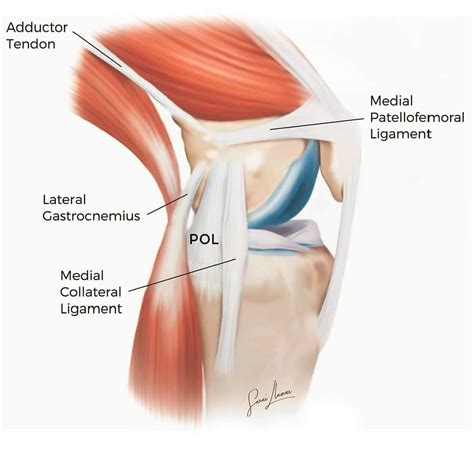 Physio Meets Science On Twitter Do You Know The Pol Https