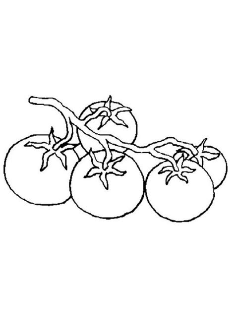 Coloriage Beaucoup de tomates Dessin gratuit à imprimer