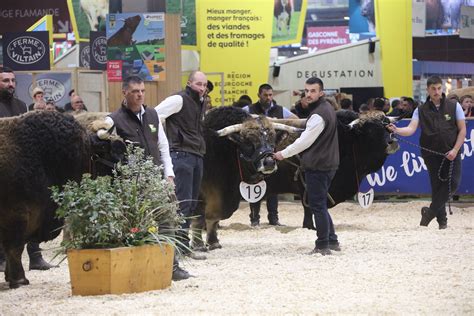 H A Salon De L Agriculture Concours Aubrac Vincent