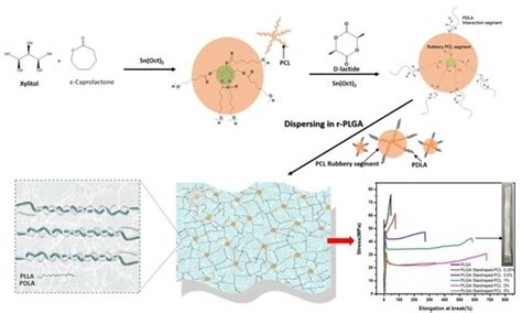 Polymers Free Full Text Super Tough And Biodegradable Polylactide