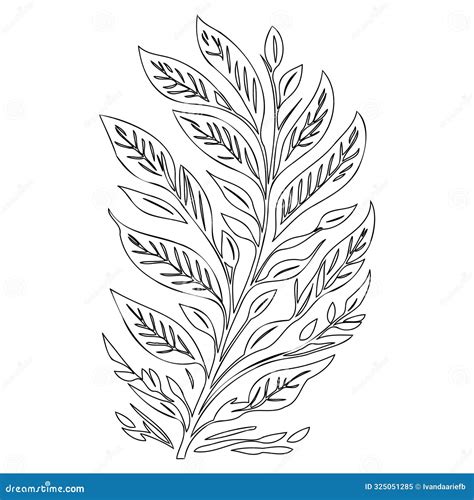 Ash Leaf Floral Outline Illustration Sketch Stock Vector Illustration Of Nature Leaf 325051285