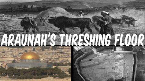 Araunah S Threshing Floor YouTube