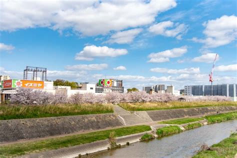 見上げて歩く、桜さんぽ。枚方のおすすめお花見スポット・桜の名所2024【枚方まとめ】 大阪府枚方市の観光情報誌『ひらいろ』