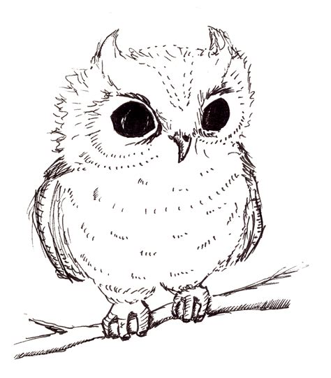 How To Draw A Cute Baby Owl Step By Step