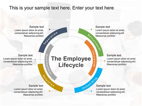 Employee Life Cycle The Ultimate Guide For Hr Aihr Off