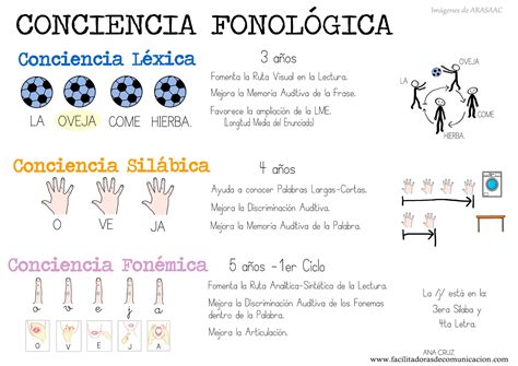 Conciencia Fonol Gica Esquema