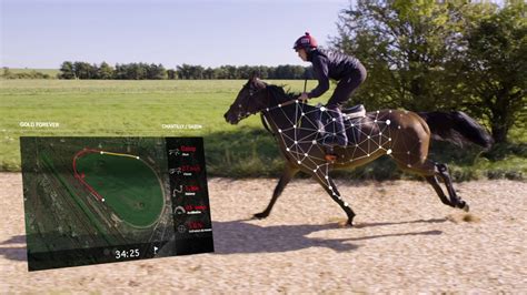 Equimetre Monitoring Of The Equine Athlete In Training Youtube