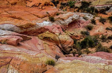 Depth of the Canyon Photograph by Stephen Whalen | Fine Art America