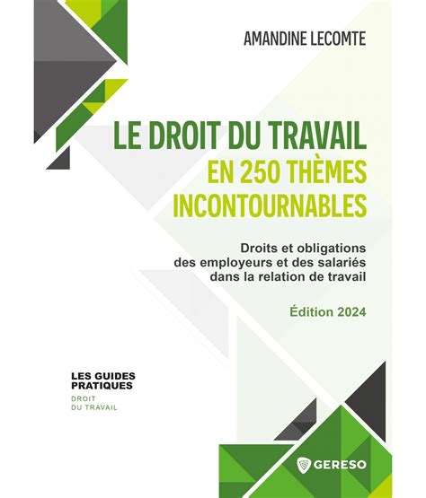 Livre Le Droit Du Travail En Th Mes Incontournables