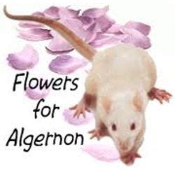 Flowers for Algernon Sequel *Finished*