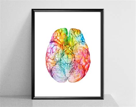 Watercolor Brain Print Neurology Art Medical Poster Clinic Etsy