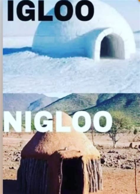 The Best Igloo Memes Memedroid