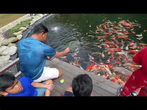 Liburan Di Gaia Hotel 2023 YouTube