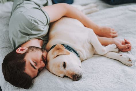 愛犬はずっと寝てるけど大丈夫？更にご飯を食べない・元気がない場合にはどうすれば良いのか対処法も紹介 Pet Friendsjp