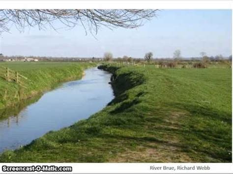 Floodplains and Levees Diagram | Quizlet