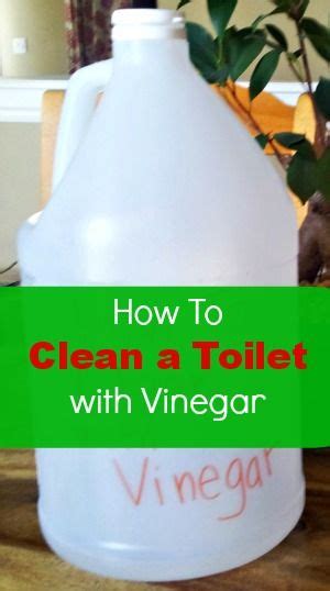 How To Clean A Toilet With Vinegar Cleaning Toilet Stains Toilet