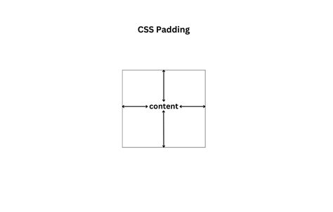 Mastering Css Margins Padding And The Box Model Shefali