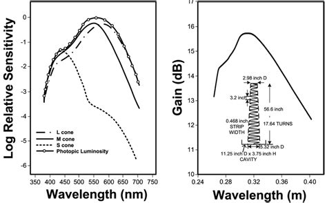 Schematic Representations Of A The Spectral Sensitivities Of The Cone