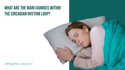 Circadian Rhythm Definition Physical Mental And Behavioral Features Athletic Insight