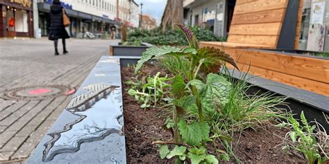 Bänke in Hildesheimer Innenstadt Neue Blumen und Ärger um Müll