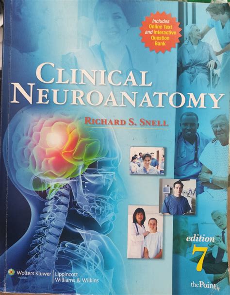 Snell S Clinical Neuroanatomy 7th Ed Hobbies Toys Books