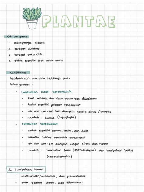 Biologi Kelas Plantae