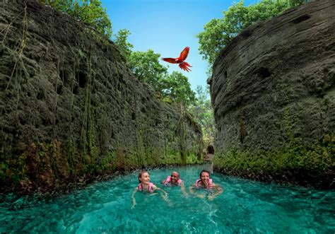 Consejos Para Visitar Xcaret Por Primera Vez Voyovoy