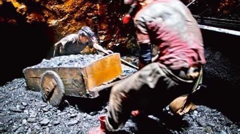 Telangana Five Sccl Workers Trapped After Roof Of Coal Mine Collapses