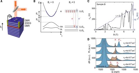 Cavity Quantum Electrodynamics With Many Body States Of A Two