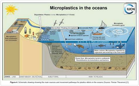 Pollution And Effects World Plastics Production