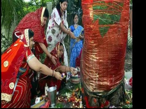 Vat Savitri Vrat 2022 Date Time Shubh Muhurat Puja Vidhi Importance