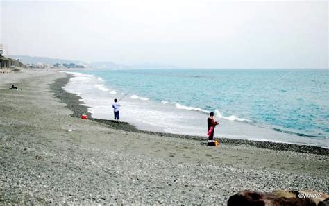 小田原・御幸の浜海岸 市の写真 海水浴場 トリップアドバイザー