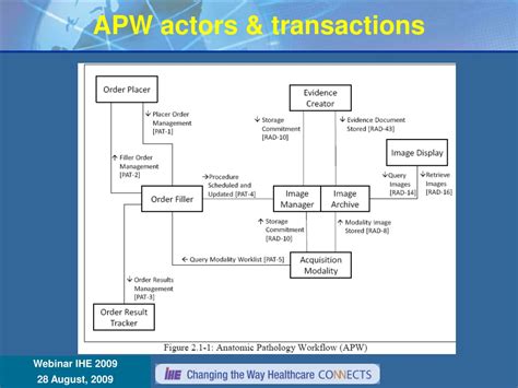 Ppt Anatomic Pathology Domain Pat Powerpoint Presentation Free