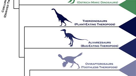 A Simple Chart To Help You Understand How Birds Evolved From Dinosaurs