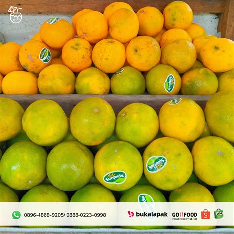 Detail Jeruk Sunkist Png Koleksi Nomer 32