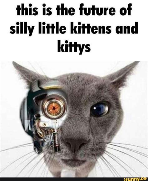 This is the future of silly little kittens and kittys - iFunny Brazil