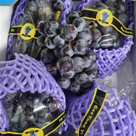 Jual Buah Anggur Black Muscat Seedless Grapes Fresh Import Per Pack Di