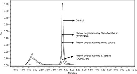 Comparative Hplc Chromatogram Of Phenol Degrading Pure Paenibacillus Download Scientific