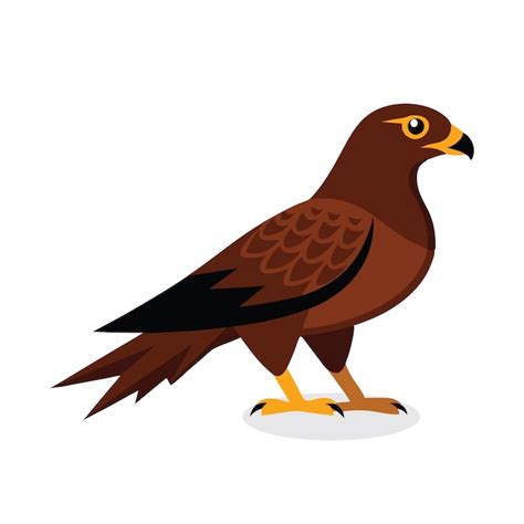 Premium Vector Hawk Animal Isolated Flat Vector Illustration On White