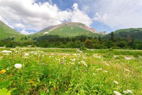 North Caucasus stock image. Image of beautiful, mountain - 58830649