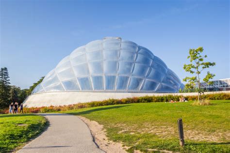 20+ Aarhus Botanical Garden Stock Photos, Pictures & Royalty-Free Images - iStock